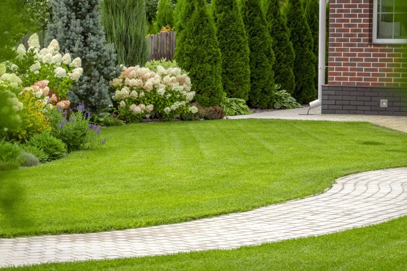 Paver Walkways